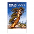 Nástenný kalendár Stromy 31,5 x 45 cm 2025