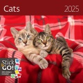 Nástenný kalendár Cats 30 x 30 cm 2025