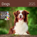 Nástenný kalendár Dogs 30 x 30 cm 2025