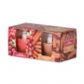 Emocio Sklo 65x63 mm 2 ks v krabičke Wild Cranberry & Cinnamon Stick, vonná sviečka